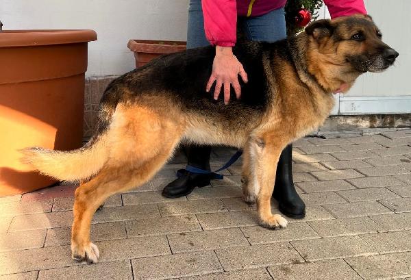 FEDERICA PASTORE TEDESCO Foto 7